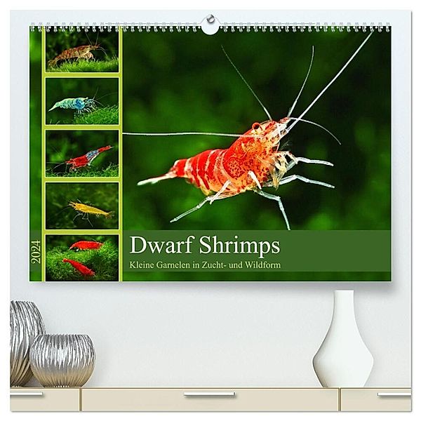 Dwarf Shrimps (hochwertiger Premium Wandkalender 2024 DIN A2 quer), Kunstdruck in Hochglanz, Rudolf Pohlmann