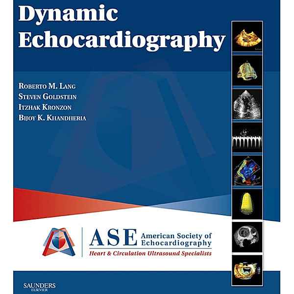 Dynamic Echocardiography E-Book, Steven R. Goldstein, Itzhak Kronzon, Bijoy K. Khandheria, Roberto Lang