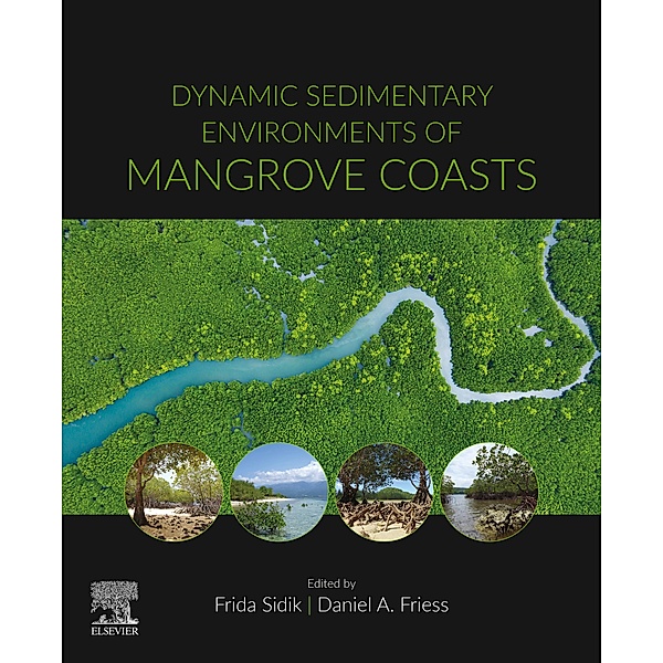Dynamic Sedimentary Environments of Mangrove Coasts