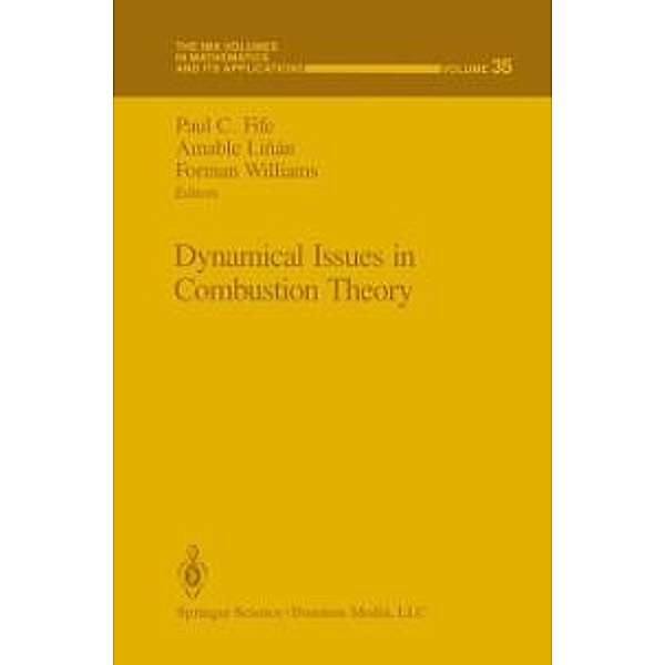 Dynamical Issues in Combustion Theory / The IMA Volumes in Mathematics and its Applications Bd.35