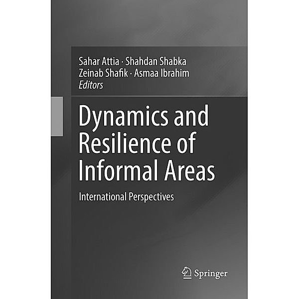 Dynamics and Resilience of Informal Areas