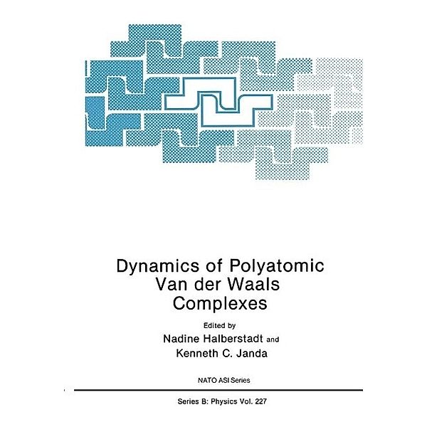 Dynamics of Polyatomic Van der Waals Complexes / NATO Science Series B: Bd.227