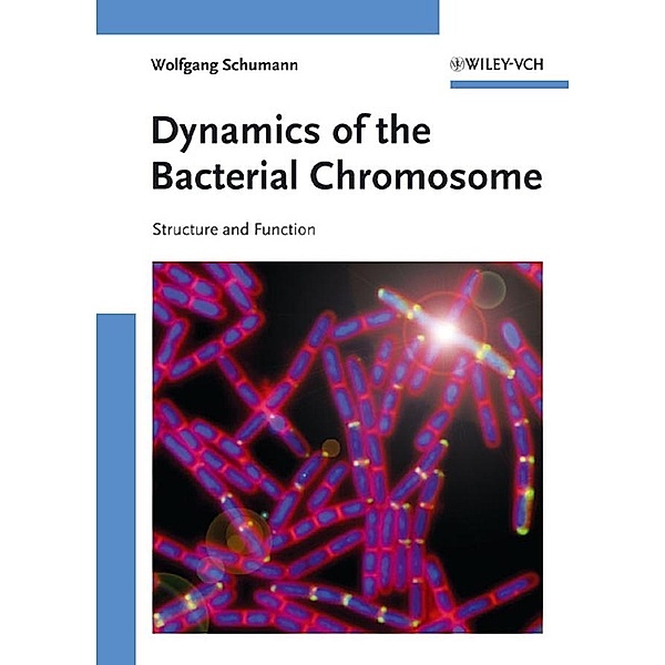 Dynamics of the Bacterial Chromosome, Wolfgang Schumann