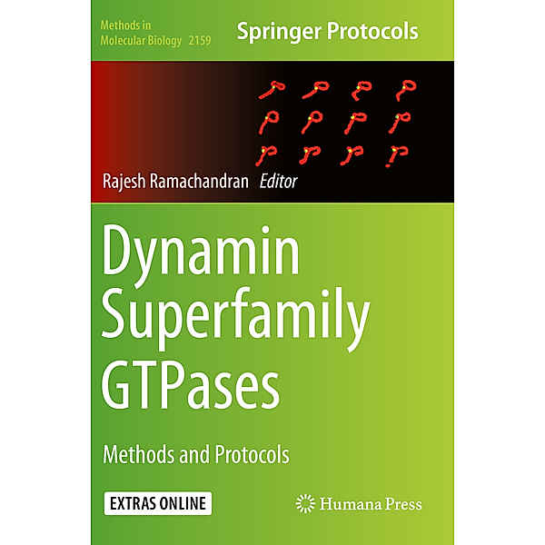 Dynamin Superfamily GTPases