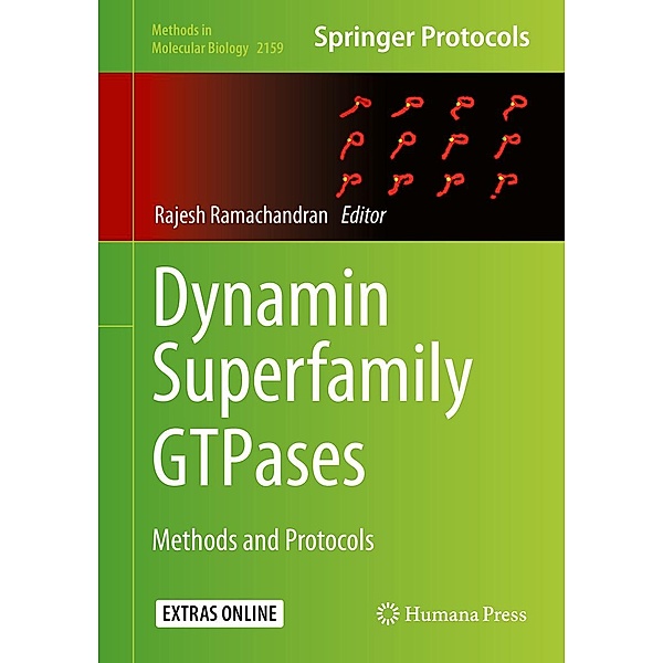 Dynamin Superfamily GTPases / Methods in Molecular Biology Bd.2159