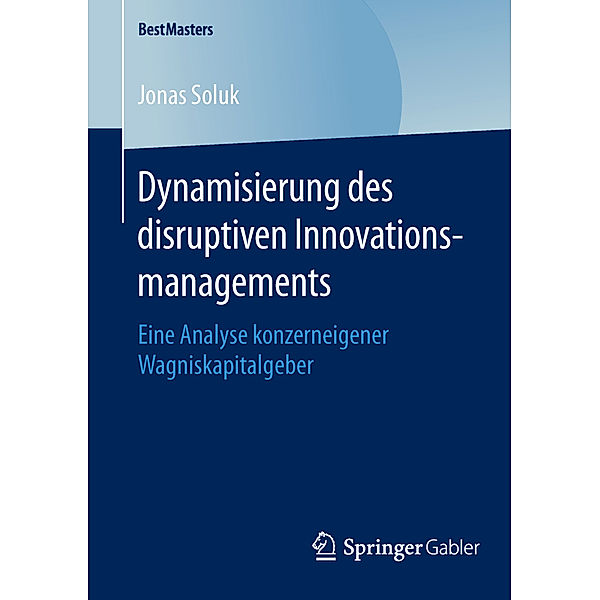 Dynamisierung des disruptiven Innovationsmanagements, Jonas Soluk