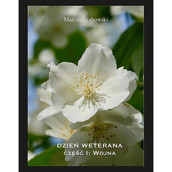 Dzien Weterana / Marcin Grabowski, Marcin Grabowski