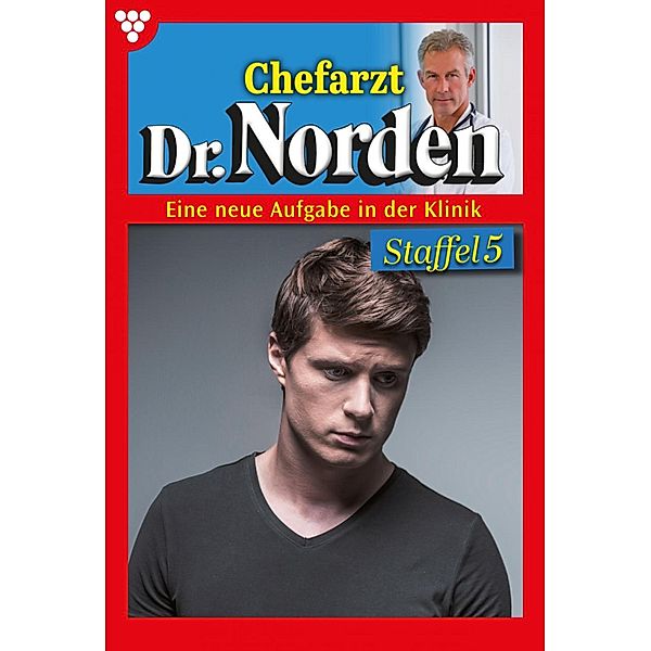 E-Book 1151-1160 / Chefarzt Dr. Norden Bd.5, Patricia Vandenberg
