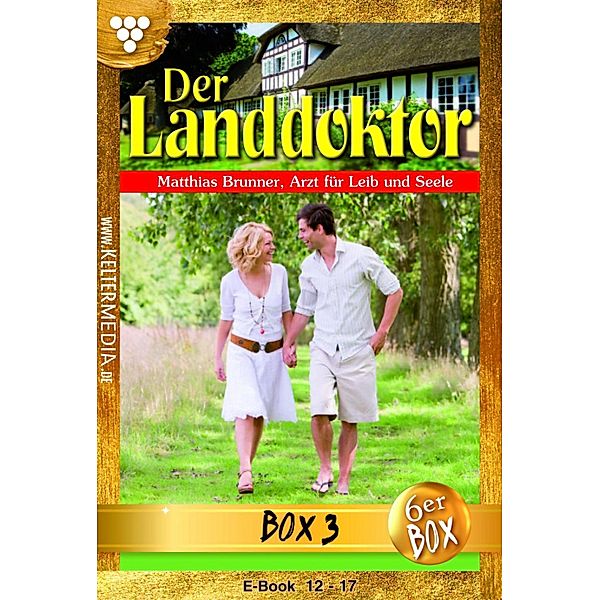 E-Book 12-17 / Der Landdoktor Bd.3, Christine von Bergen
