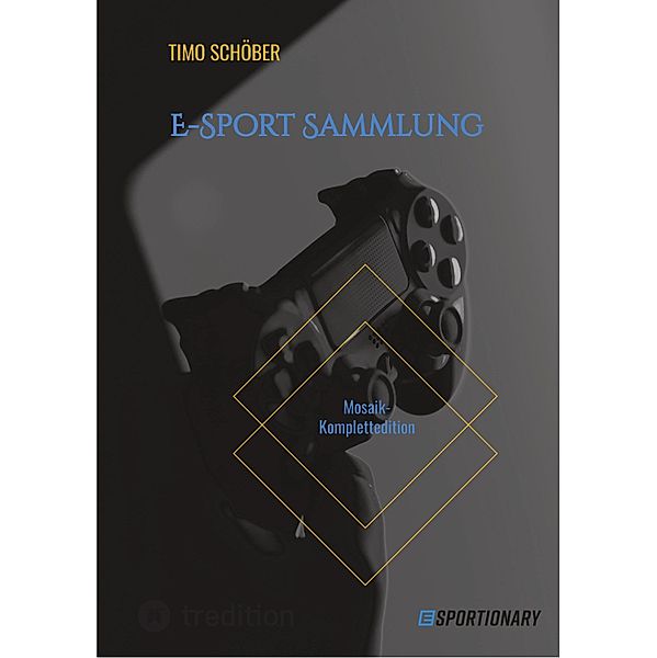 E-Sport Sammlung, Timo Schöber