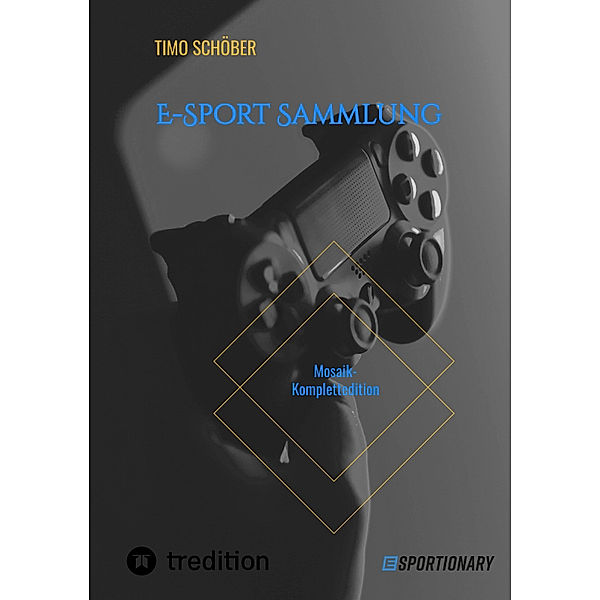 E-Sport Sammlung, Timo Schöber