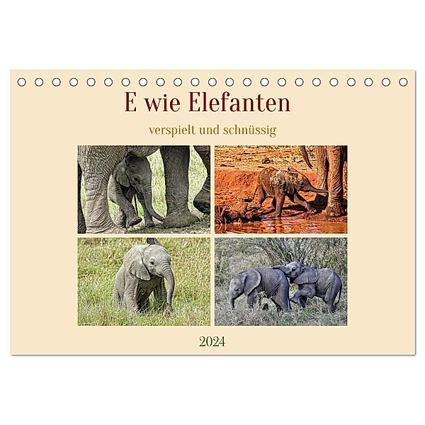 E wie Elefanten - verspielt und schnüssig (Tischkalender 2024 DIN A5 quer), CALVENDO Monatskalender, Susan Michel