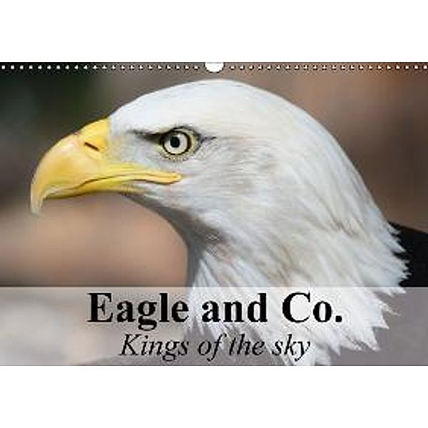 Eagle and Co. Kings of the Sky (Wall Calendar 2015 DIN A3 Landscape), Elisabeth Stanzer