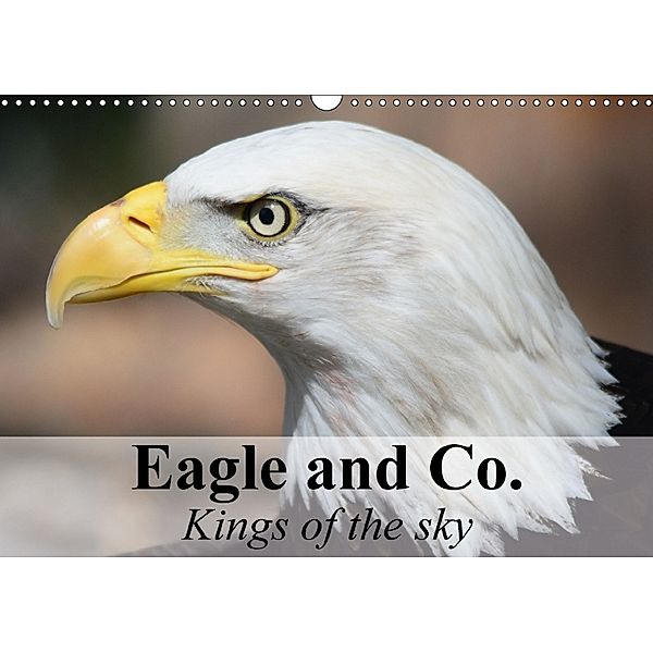 Eagle and Co. Kings of the Sky (Wall Calendar 2018 DIN A3 Landscape), Elisabeth Stanzer