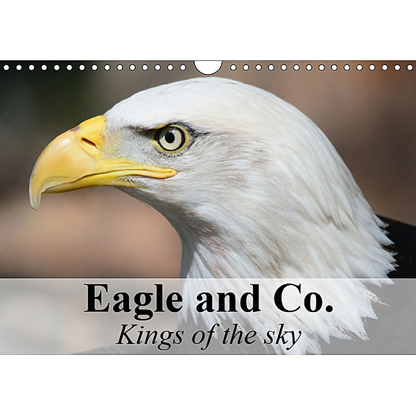 Eagle and Co. Kings of the Sky (Wall Calendar 2019 DIN A4 Landscape), Elisabeth Stanzer