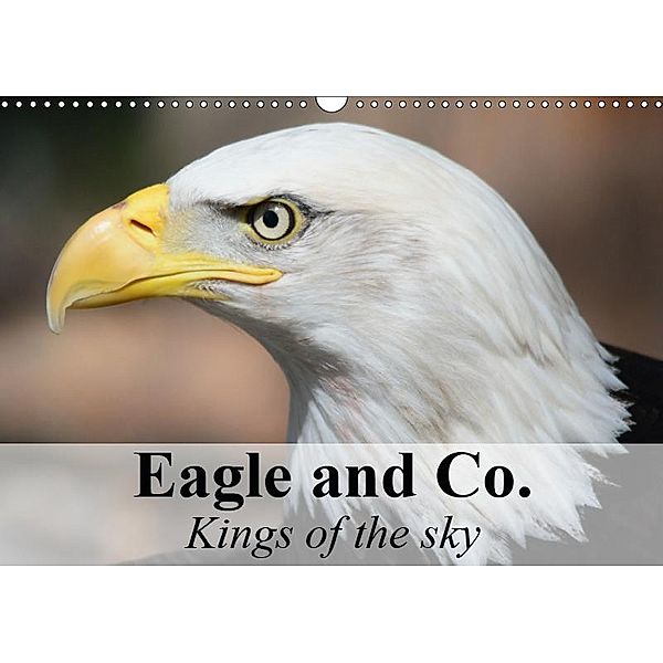 Eagle and Co. Kings of the Sky (Wall Calendar 2019 DIN A3 Landscape), Elisabeth Stanzer