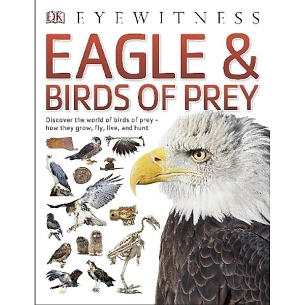 Eagle & Birds of Prey, Dk