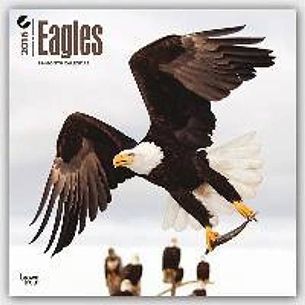 Eagles 2016