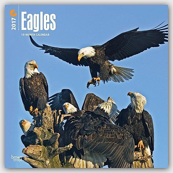 Eagles 2017 Square, Inc Browntrout Publishers