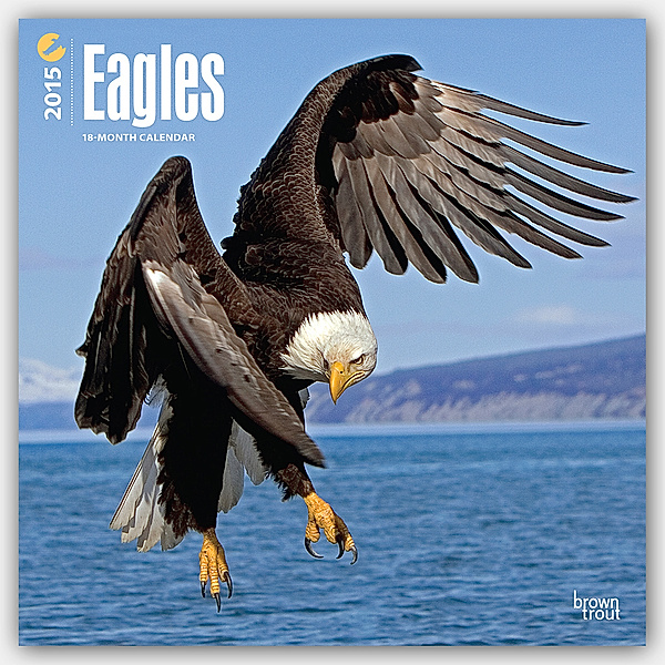 Eagles, Broschürenkalender 2015