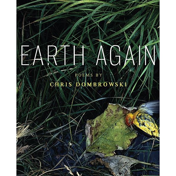 Earth Again, Chris Dombrowski
