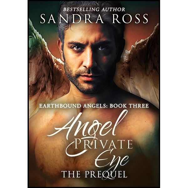Earthbound Angels 3: Angel Private Eye: The Prequel (Earthbound Angels Book 3), Sandra Ross