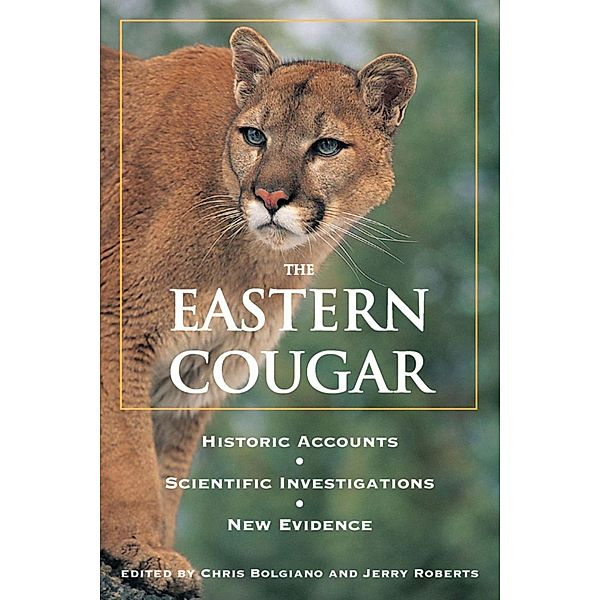 Eastern Cougar