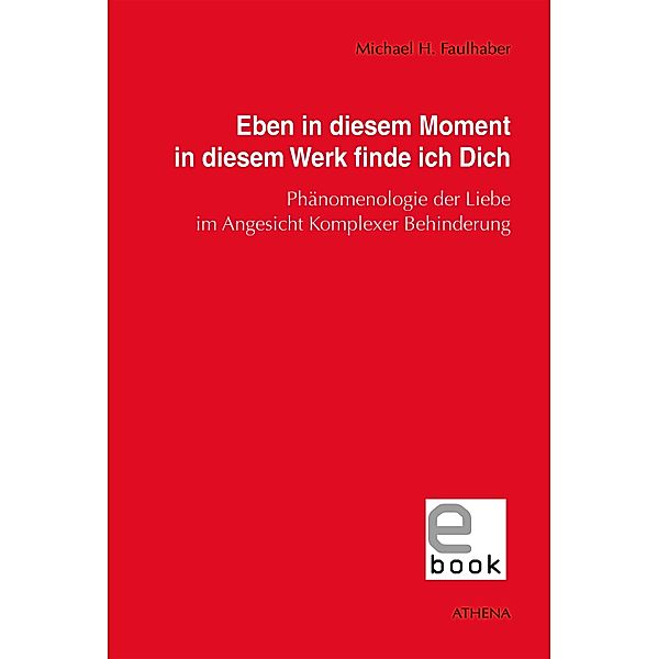 Eben in diesem Moment in diesem Werk finde ich Dich / Schriften zur Pädagogik bei Geistiger Behinderung Bd.8, Michael H. Faulhaber