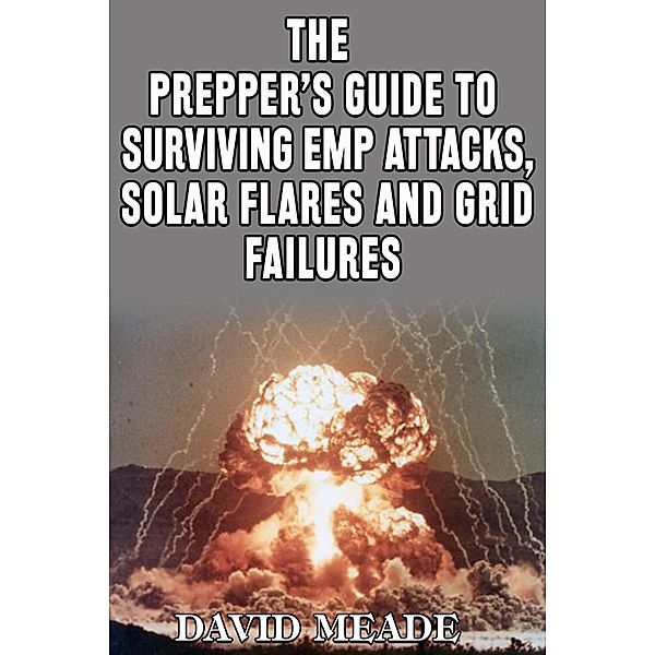 eBookIt.com: The Prepper's Guide to Surviving EMP Attacks, Solar Flares and Grid Failures, David Meade