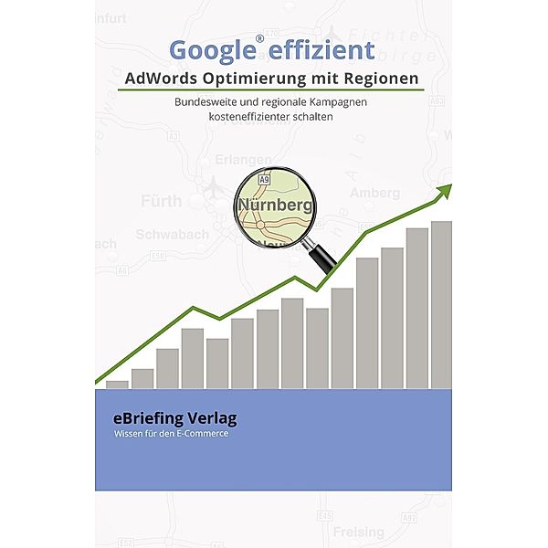 eBriefing Verlag: Google effizient: AdWords Optimierung  mit Regionen, Thomas Hörner