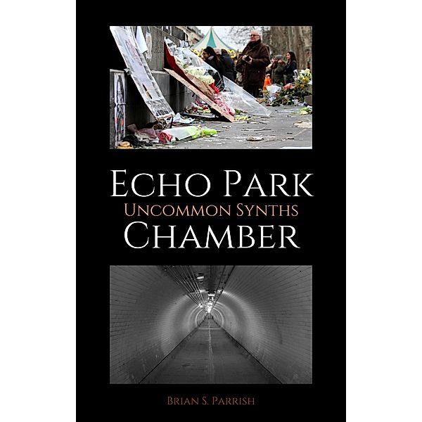 Echo Park Chamber: Uncommon Synths, Brian S. Parrish