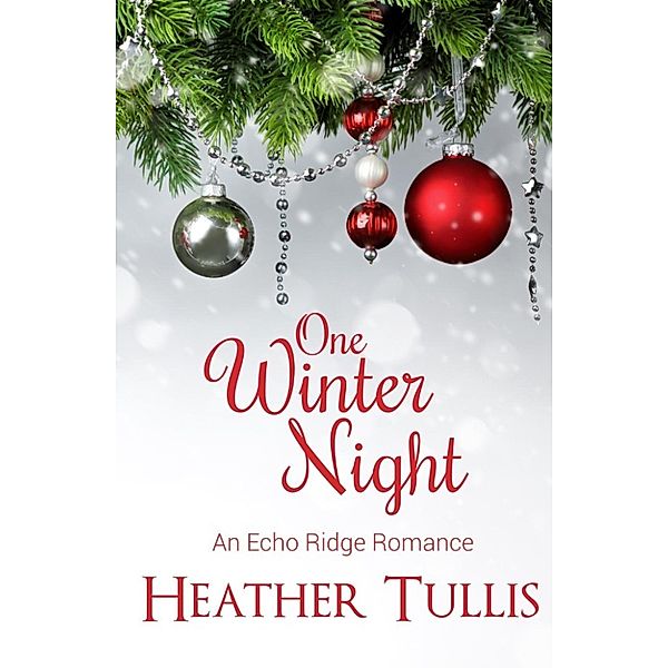 Echo Ridge Romances: One Winter Night (Echo Ridge Romances), Heather Tullis