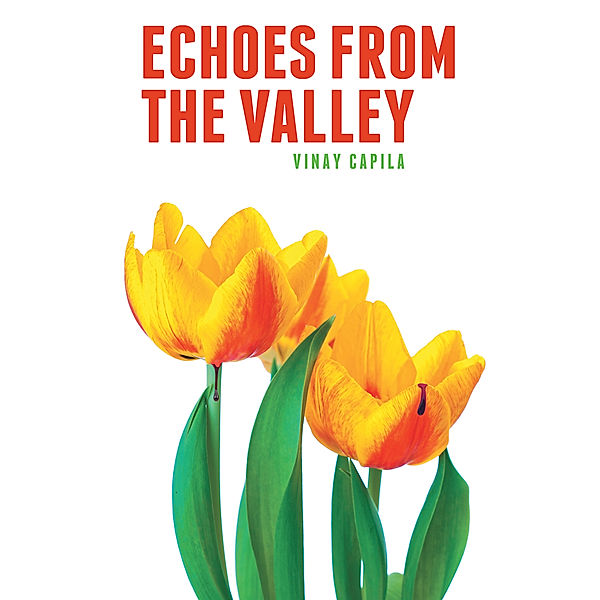Echoes from the Valley, Vinay Capila