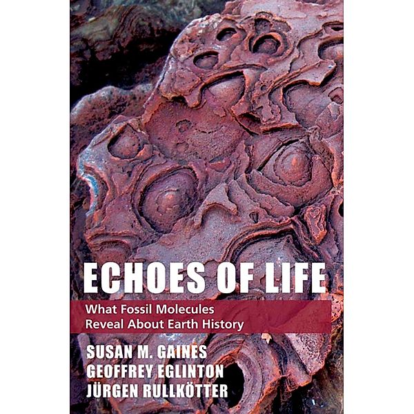 Echoes of Life, Susan M. Gaines, Geoffrey Eglinton, Jurgen Rullkotter