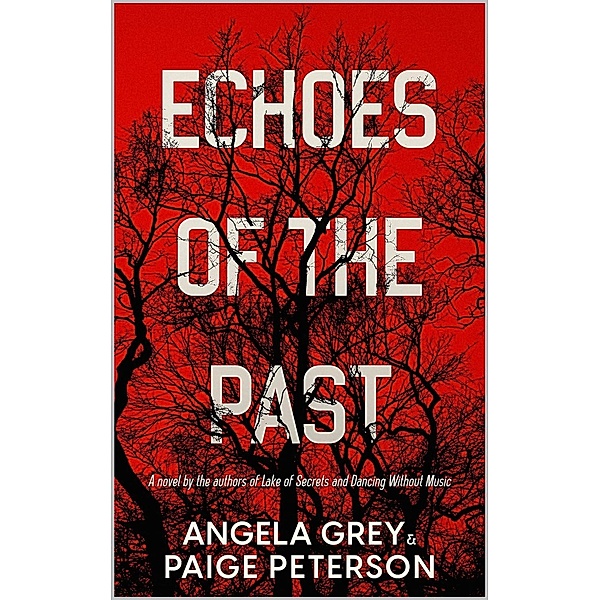 Echoes of the Past (Echoes in the North Country, #1) / Echoes in the North Country, Angela Grey