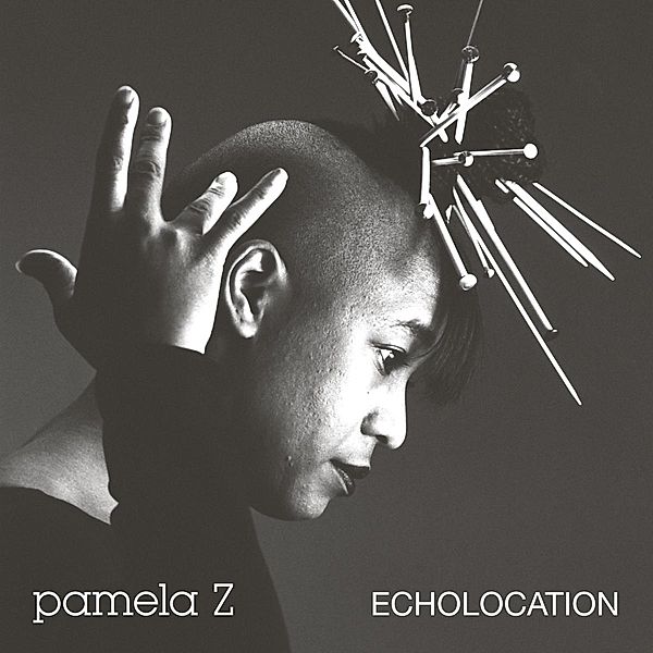 Echolocation, Pamela Z