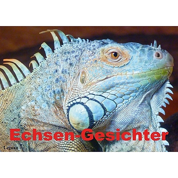 Echsen-Gesichter (Posterbuch DIN A3 quer), Elisabeth Stanzer