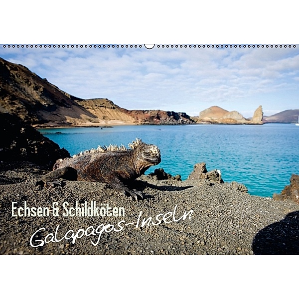 Echsen & Schildkröten: Galapagos-Inseln (Wandkalender 2014 DIN A2 quer)