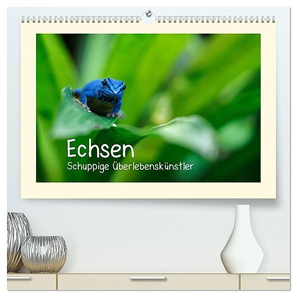 Echsen - Schuppige Überlebenskünstler (hochwertiger Premium Wandkalender 2025 DIN A2 quer), Kunstdruck in Hochglanz, Calvendo, Andreas Rinke