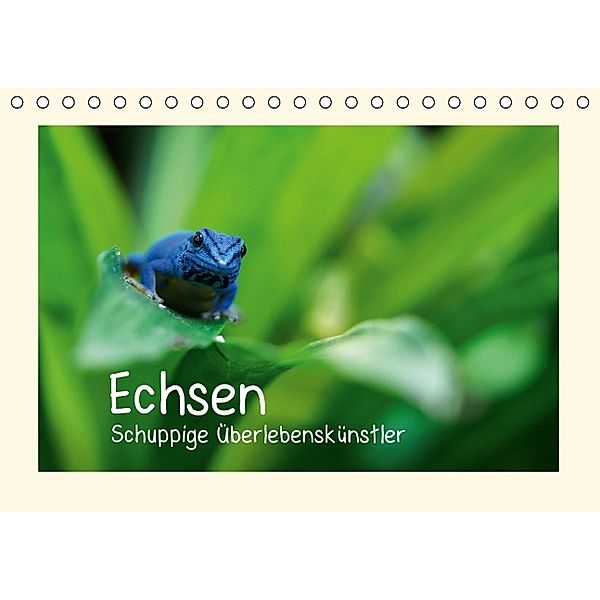 Echsen - Schuppige Überlebenskünstler (Tischkalender 2014 DIN A5 quer), Andreas Rinke