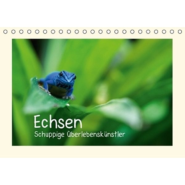 Echsen - Schuppige Überlebenskünstler (Tischkalender 2015 DIN A5 quer), Andreas Rinke