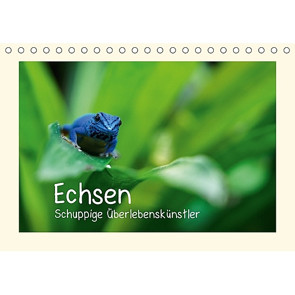 Echsen - Schuppige Überlebenskünstler (Tischkalender 2018 DIN A5 quer), Andreas Rinke