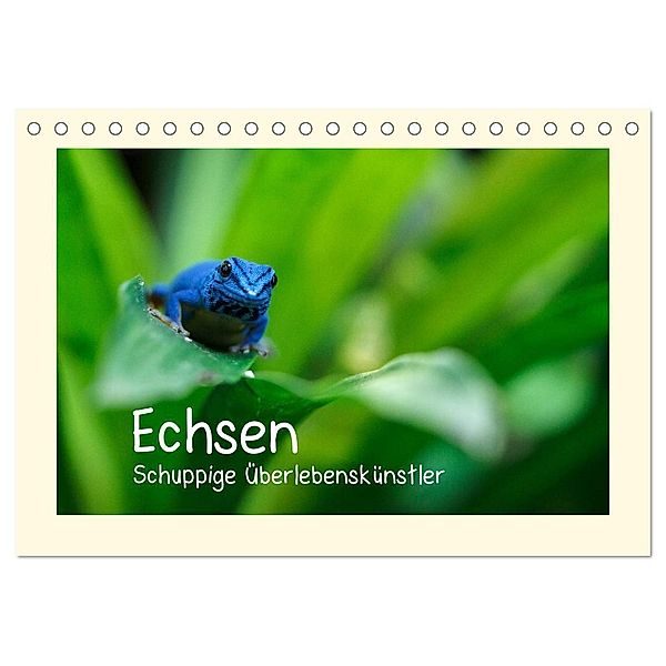 Echsen - Schuppige Überlebenskünstler (Tischkalender 2024 DIN A5 quer), CALVENDO Monatskalender, Andreas Rinke