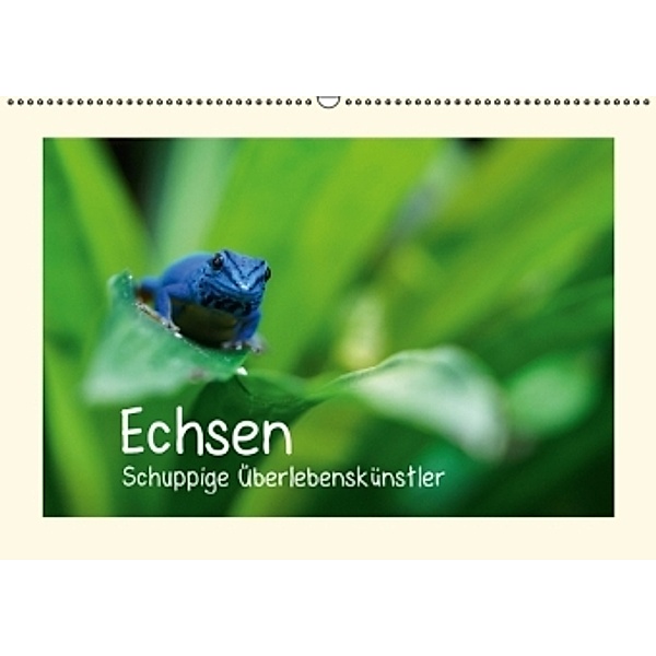 Echsen - Schuppige Überlebenskünstler (Wandkalender 2015 DIN A2 quer), Andreas Rinke