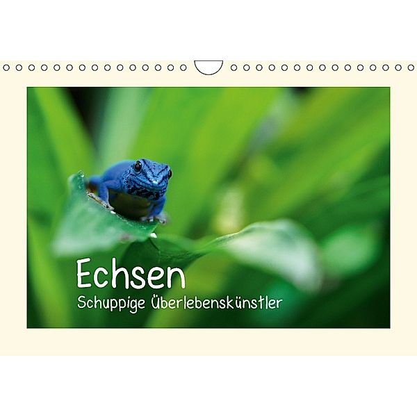 Echsen - Schuppige Überlebenskünstler (Wandkalender 2018 DIN A4 quer), Andreas Rinke