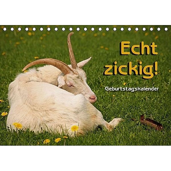 Echt zickig! / Geburtstagskalender (Tischkalender immerwährend DIN A5 quer), Martina Berg