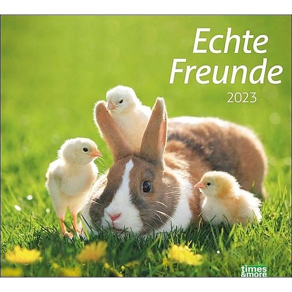 Echte Freunde Bildkalender 2023. Süße Tierfreundschaften in einem Kalender Großformat. Hochwertiger Fotokalender für Tie