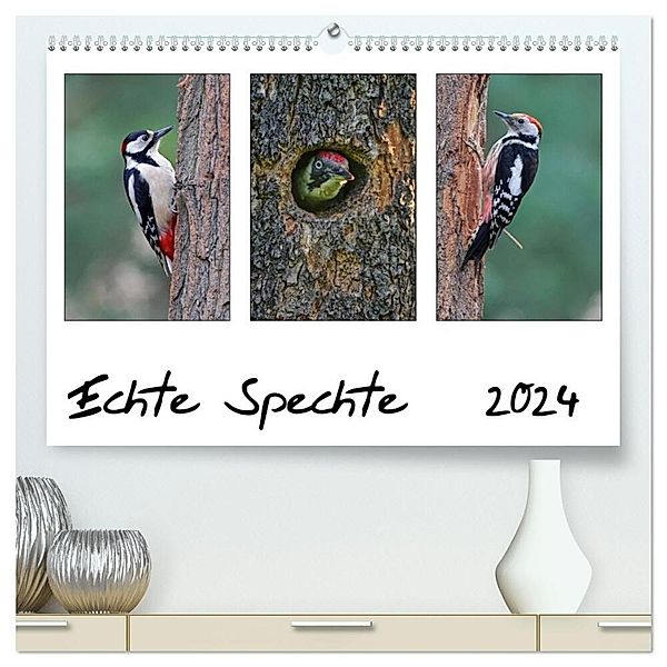 Echte Spechte (hochwertiger Premium Wandkalender 2024 DIN A2 quer), Kunstdruck in Hochglanz, Gerald Wolf