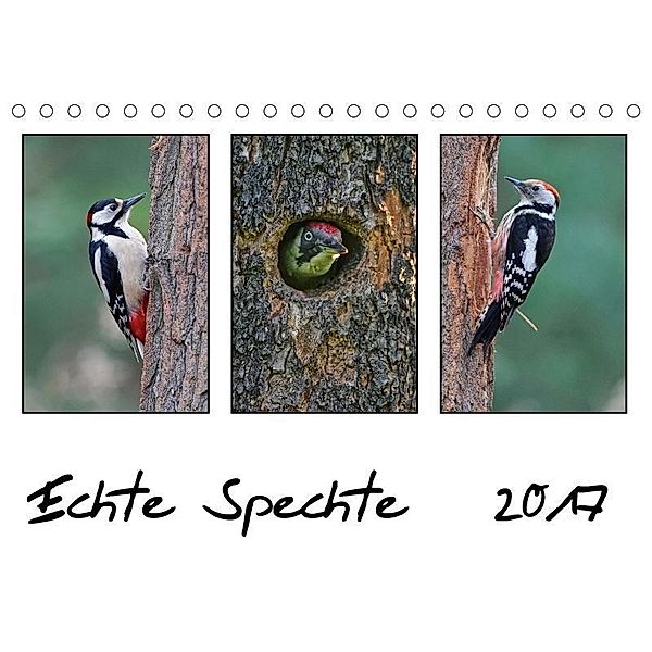 Echte Spechte (Tischkalender 2017 DIN A5 quer), Gerald Wolf