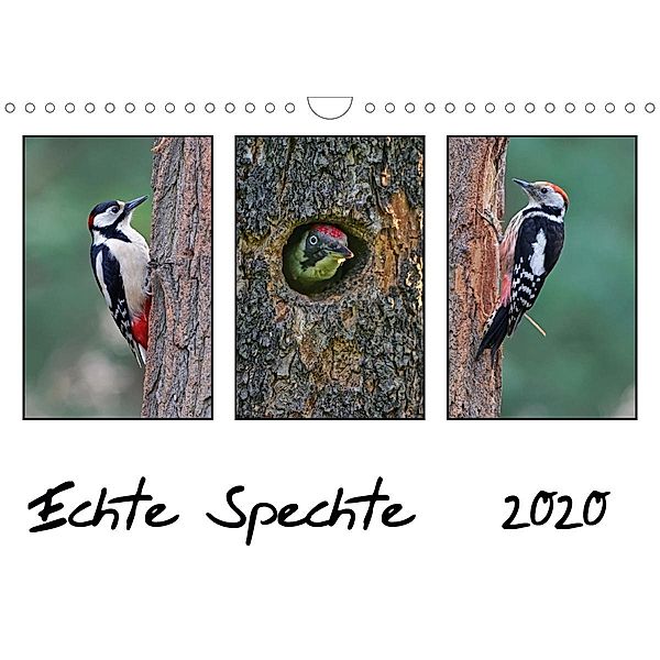 Echte Spechte (Wandkalender 2020 DIN A4 quer), Gerald Wolf